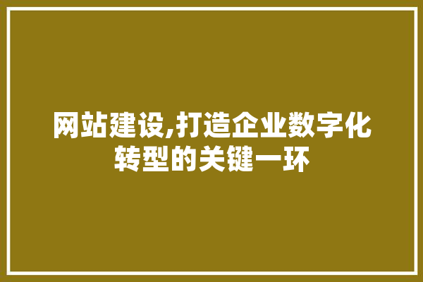 网站建设,打造企业数字化转型的关键一环