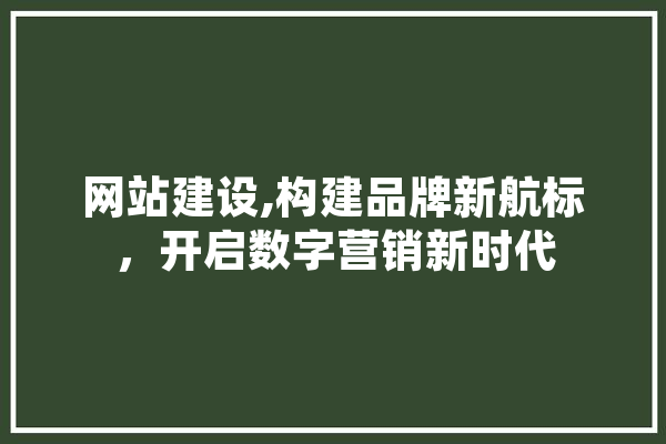 网站建设,构建品牌新航标，开启数字营销新时代