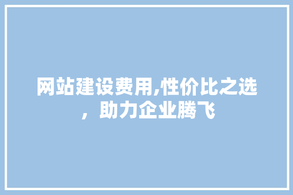 网站建设费用,性价比之选，助力企业腾飞