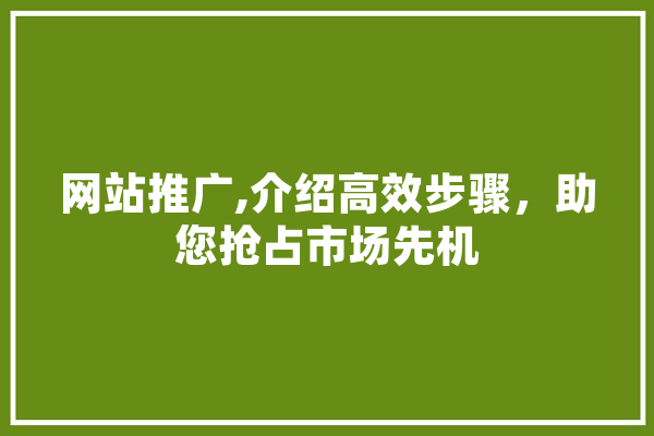 网站推广,介绍高效步骤，助您抢占市场先机