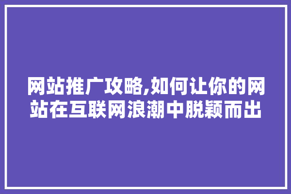 网站推广攻略,如何让你的网站在互联网浪潮中脱颖而出