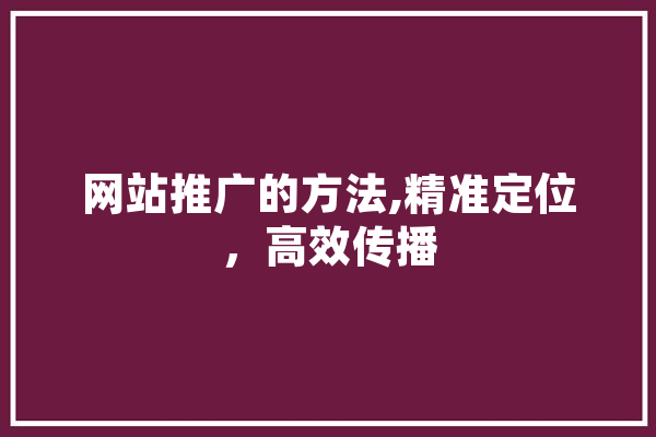 网站推广的方法,精准定位，高效传播