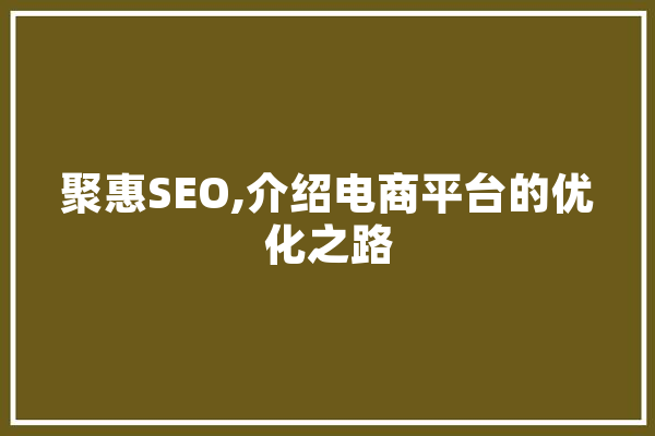 聚惠SEO,介绍电商平台的优化之路