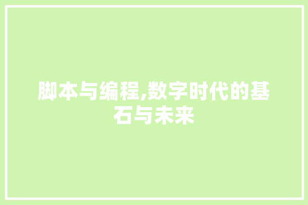 脚本与编程,数字时代的基石与未来
