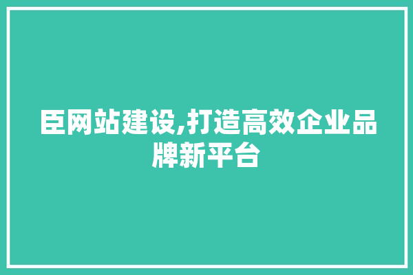 臣网站建设,打造高效企业品牌新平台
