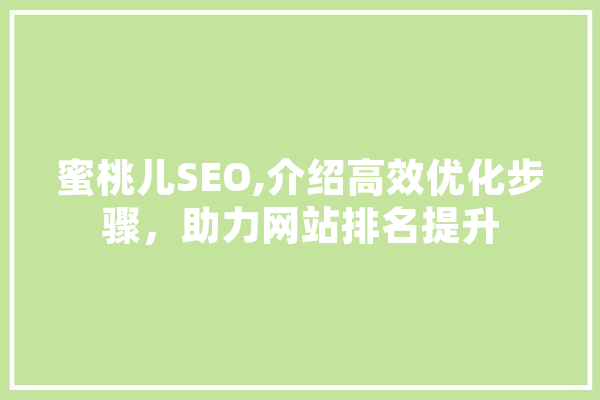 蜜桃儿SEO,介绍高效优化步骤，助力网站排名提升