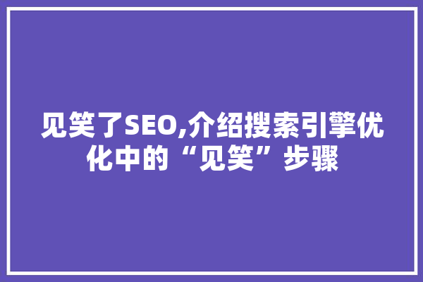 见笑了SEO,介绍搜索引擎优化中的“见笑”步骤