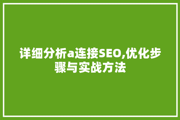 详细分析a连接SEO,优化步骤与实战方法