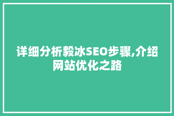 详细分析毅冰SEO步骤,介绍网站优化之路 云服务
