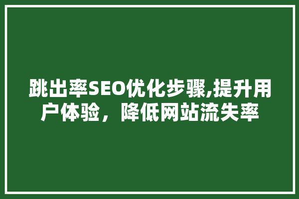 跳出率SEO优化步骤,提升用户体验，降低网站流失率