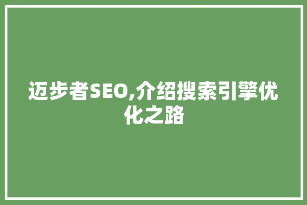 迈步者SEO,介绍搜索引擎优化之路