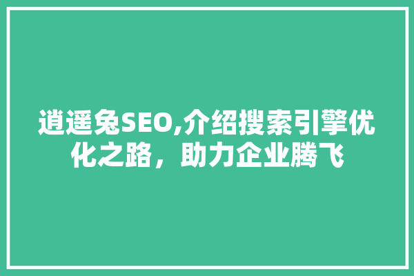 逍遥兔SEO,介绍搜索引擎优化之路，助力企业腾飞