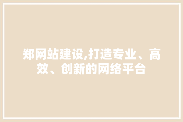 郑网站建设,打造专业、高效、创新的网络平台