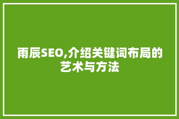 雨辰SEO,介绍关键词布局的艺术与方法