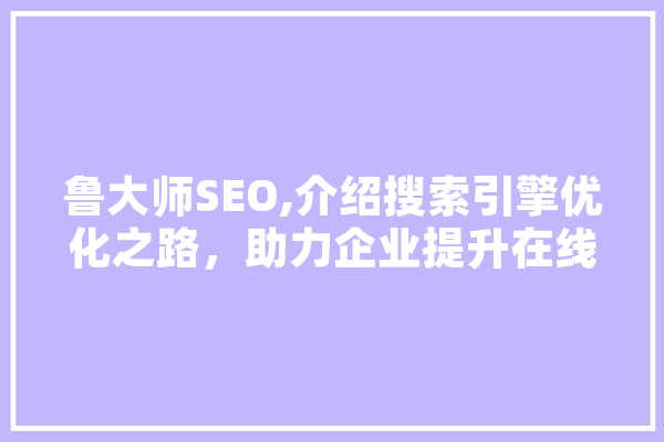 鲁大师SEO,介绍搜索引擎优化之路，助力企业提升在线竞争力