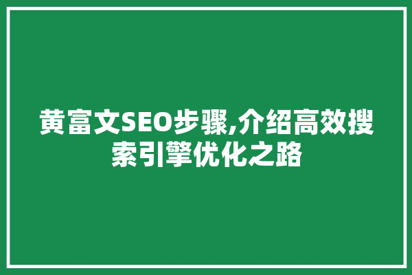 黄富文SEO步骤,介绍高效搜索引擎优化之路 智能助手