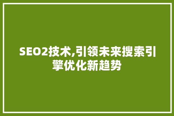 SEO2技术,引领未来搜索引擎优化新趋势