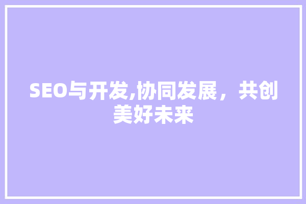 SEO与开发,协同发展，共创美好未来