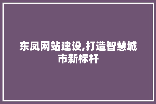 东凤网站建设,打造智慧城市新标杆