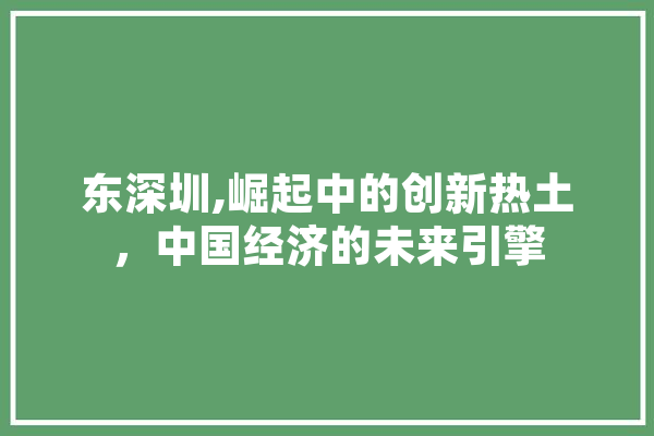 东深圳,崛起中的创新热土，中国经济的未来引擎