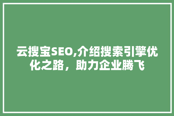 云搜宝SEO,介绍搜索引擎优化之路，助力企业腾飞