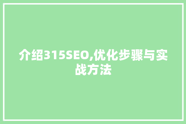 介绍315SEO,优化步骤与实战方法