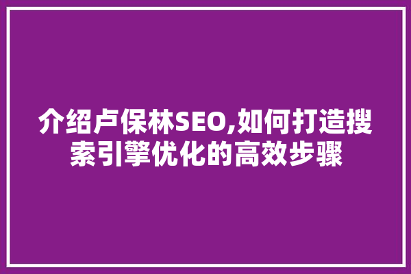 介绍卢保林SEO,如何打造搜索引擎优化的高效步骤