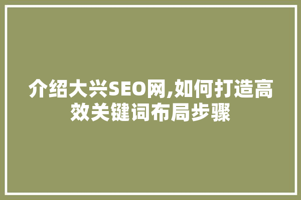 介绍大兴SEO网,如何打造高效关键词布局步骤