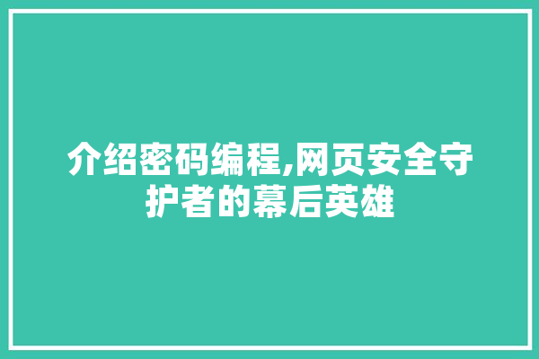 介绍密码编程,网页安全守护者的幕后英雄