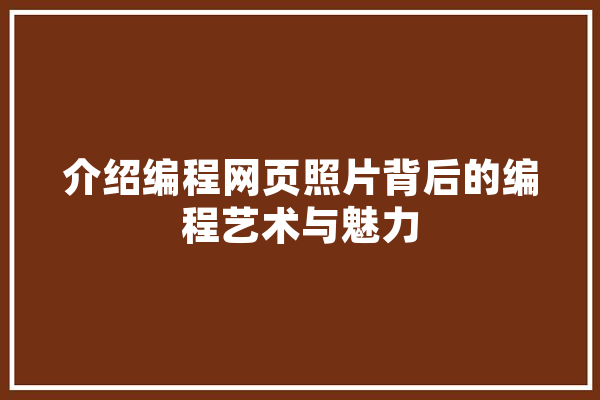 介绍编程网页照片背后的编程艺术与魅力