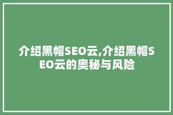 介绍黑帽SEO云,介绍黑帽SEO云的奥秘与风险