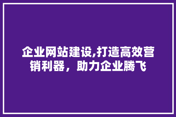 企业网站建设,打造高效营销利器，助力企业腾飞