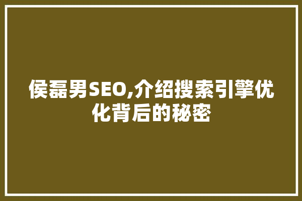 侯磊男SEO,介绍搜索引擎优化背后的秘密