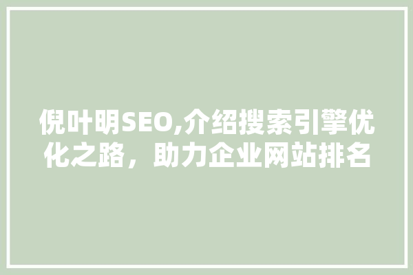 倪叶明SEO,介绍搜索引擎优化之路，助力企业网站排名提升