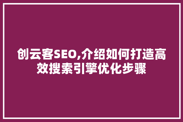 创云客SEO,介绍如何打造高效搜索引擎优化步骤