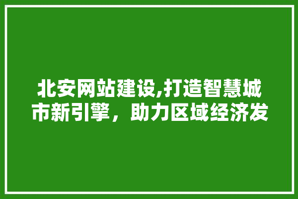 北安网站建设,打造智慧城市新引擎，助力区域经济发展