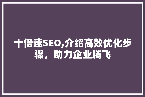 十倍速SEO,介绍高效优化步骤，助力企业腾飞