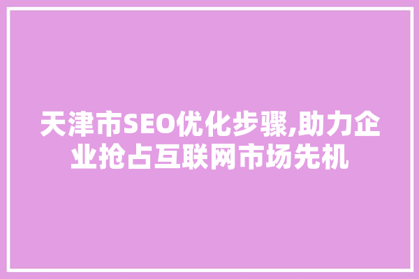 天津市SEO优化步骤,助力企业抢占互联网市场先机