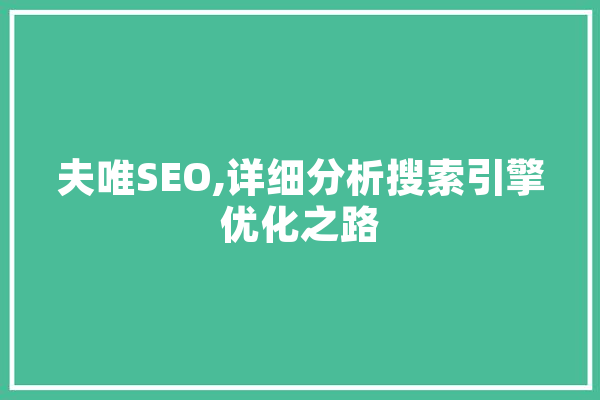 夫唯SEO,详细分析搜索引擎优化之路