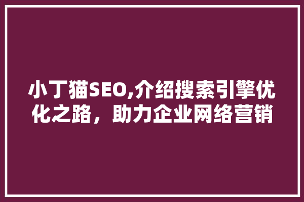 小丁猫SEO,介绍搜索引擎优化之路，助力企业网络营销腾飞