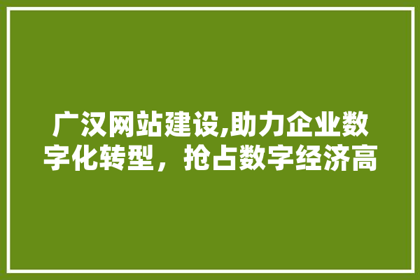 广汉网站建设,助力企业数字化转型，抢占数字经济高地