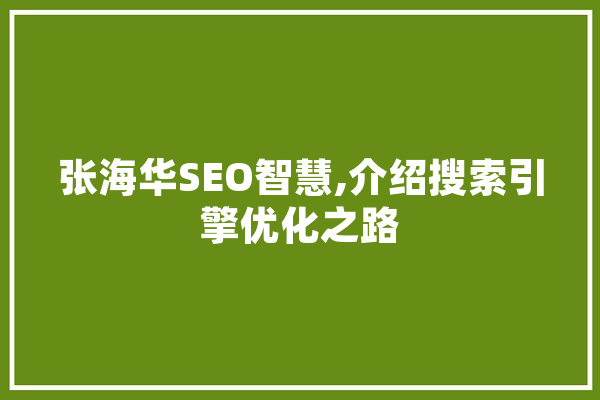 张海华SEO智慧,介绍搜索引擎优化之路 云服务