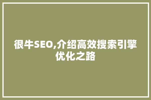 很牛SEO,介绍高效搜索引擎优化之路