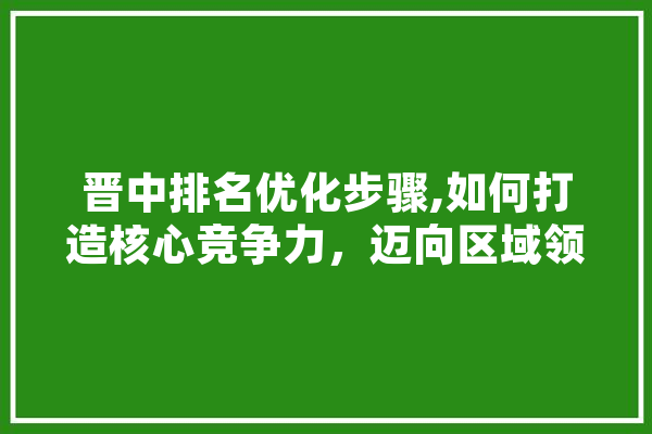 晋中排名优化步骤,如何打造核心竞争力，迈向区域领先地位