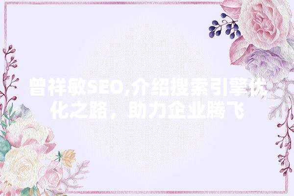 曾祥敏SEO,介绍搜索引擎优化之路，助力企业腾飞