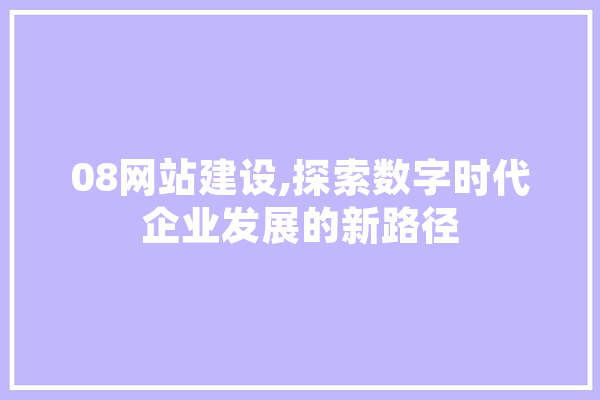 08网站建设,探索数字时代企业发展的新路径