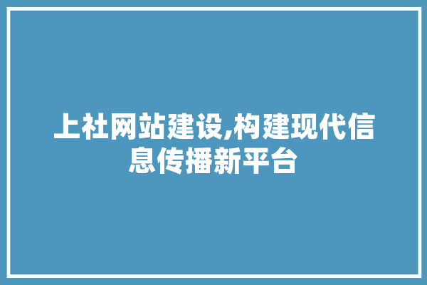 上社网站建设,构建现代信息传播新平台