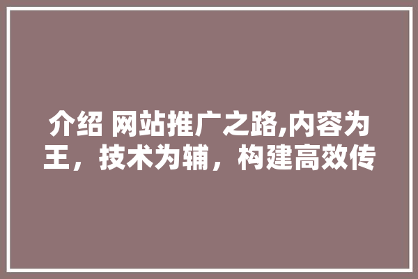 介绍 网站推广之路,内容为王，技术为辅，构建高效传播矩阵