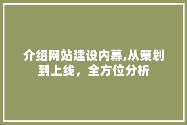 介绍网站建设内幕,从策划到上线，全方位分析