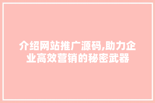 介绍网站推广源码,助力企业高效营销的秘密武器
